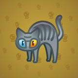 Scared Cat #14392 Scared Cat #14392