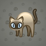 Scared Cat #14423