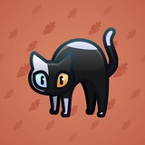Scared Cat #145 Scared Cat #145