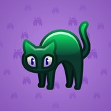 Scared Cat #14507