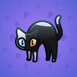 Scared Cat #14529 Scared Cat #14529