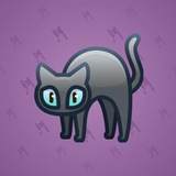 Scared Cat #14565 Scared Cat #14565