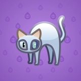 Scared Cat #14667 Scared Cat #14667