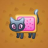 Scared Cat #14679