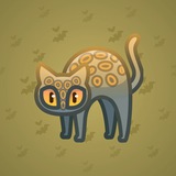 Scared Cat #14687 Scared Cat #14687
