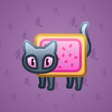Scared Cat #14708 Scared Cat #14708
