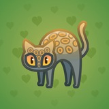 Scared Cat #14864 Scared Cat #14864