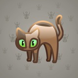 Scared Cat #14900