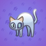 Scared Cat #14948
