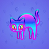 Scared Cat #14971 Scared Cat #14971