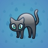 Scared Cat #15069 Scared Cat #15069