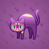Scared Cat #15262