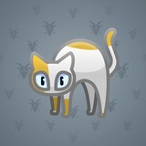 Scared Cat #15286 Scared Cat #15286