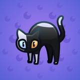 Scared Cat #15405
