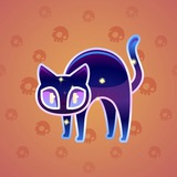 Scared Cat #15427 Scared Cat #15427