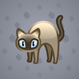 Scared Cat #15437 Scared Cat #15437