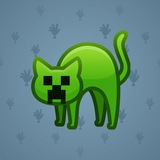 Scared Cat #15519 Scared Cat #15519