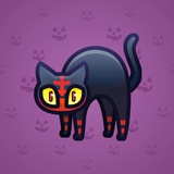 Scared Cat #15547 Scared Cat #15547