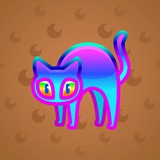 Scared Cat #15554