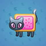 Scared Cat #15572 Scared Cat #15572