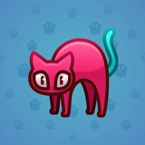 Scared Cat #15577 Scared Cat #15577
