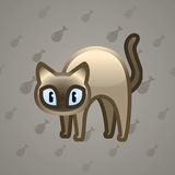 Scared Cat #15614 Scared Cat #15614