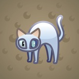 Scared Cat #15617