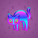 Scared Cat #15672 Scared Cat #15672