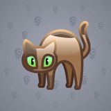 Scared Cat #15679 Scared Cat #15679