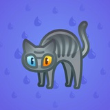 Scared Cat #15719