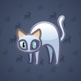 Scared Cat #15730 Scared Cat #15730