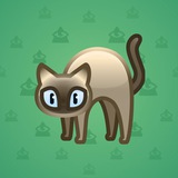 Scared Cat #15752 Scared Cat #15752