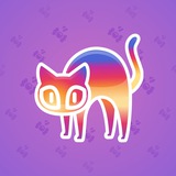 Scared Cat #15809 Scared Cat #15809