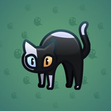 Scared Cat #15863 Scared Cat #15863
