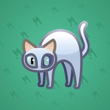 Scared Cat #1587