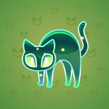 Scared Cat #15888 Scared Cat #15888