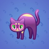 Scared Cat #15901