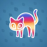 Scared Cat #15937 Scared Cat #15937