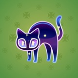 Scared Cat #15961 Scared Cat #15961