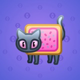 Scared Cat #16060 Scared Cat #16060