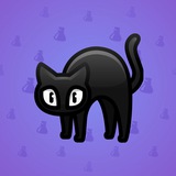 Scared Cat #1609