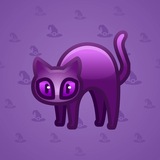 Scared Cat #16094 Scared Cat #16094