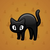 Scared Cat #16153 Scared Cat #16153