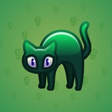 Scared Cat #16178 Scared Cat #16178