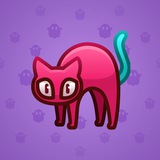 Scared Cat #16289 Scared Cat #16289