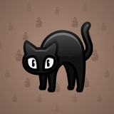 Scared Cat #16315 Scared Cat #16315