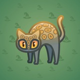 Scared Cat #1632 Scared Cat #1632
