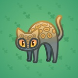 Scared Cat #16330