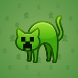 Scared Cat #1635 Scared Cat #1635