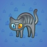 Scared Cat #16416 Scared Cat #16416